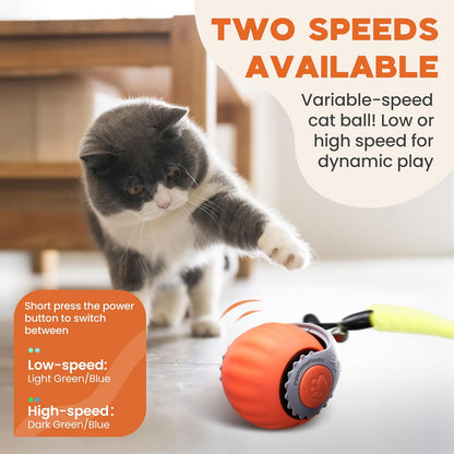Interactive Cat Toy 2-Pack - Smart Automatic Rechargeable Moving Ball with Tail for Bored Indoor Cats (Orange & Blue)